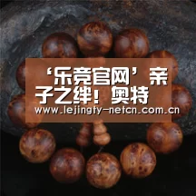 ‘乐竞官网’亲子之绊！奥特祭将会展出3米6的赛文赛罗(图2)