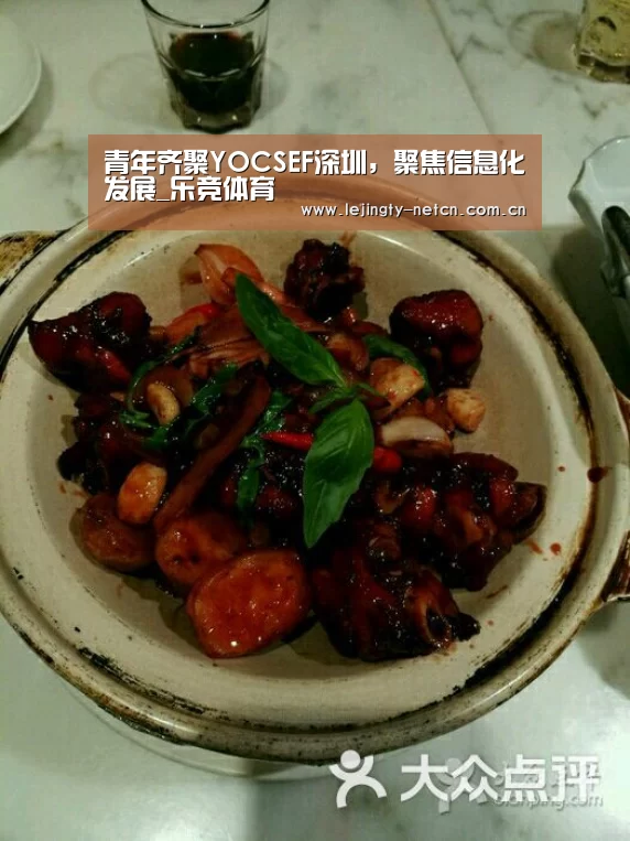 青年齐聚YOCSEF深圳，聚焦信息化发展_乐竞体育(图1)