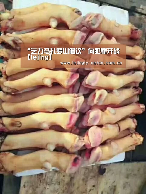 “乞力马扎罗山倡议”向犯罪开战【lejing】(图2)